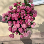 Монобукет 17 роз от интернет-магазина «Your Fantasy»в Нижнем Тагиле