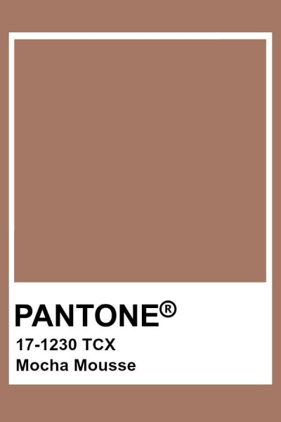 Институт Pantone назвал цвет года 2025